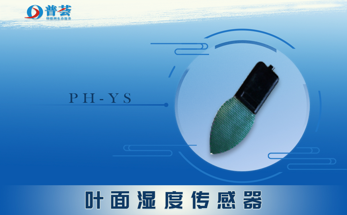  葉面溫度傳感器是什么？