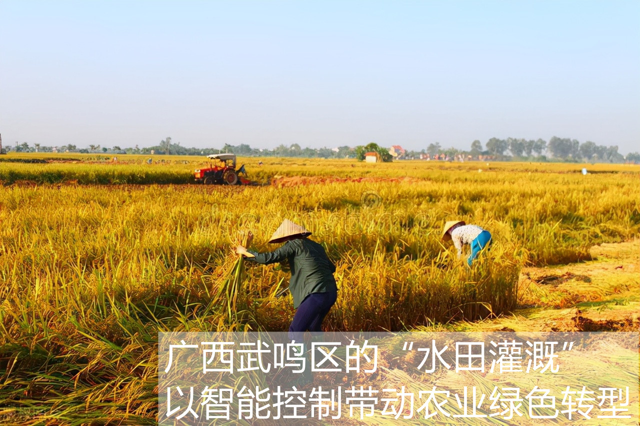 廣西武鳴區(qū)的“水田灌溉”，以智能控制帶動農(nóng)業(yè)綠色轉(zhuǎn)型