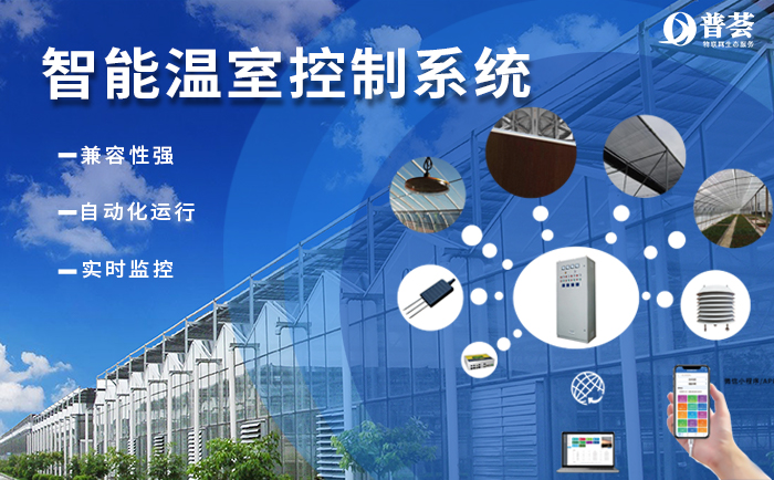 ?  武漢新普惠“加持”的現(xiàn)代農(nóng)業(yè)有多牛？